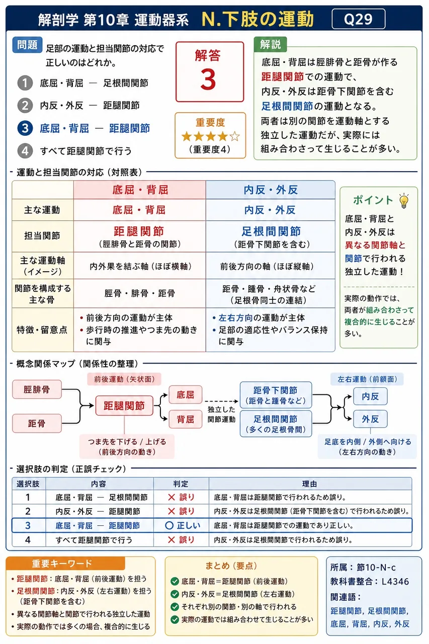 足部の運動と担当関節の対応で正しいのはどれか。 解説図