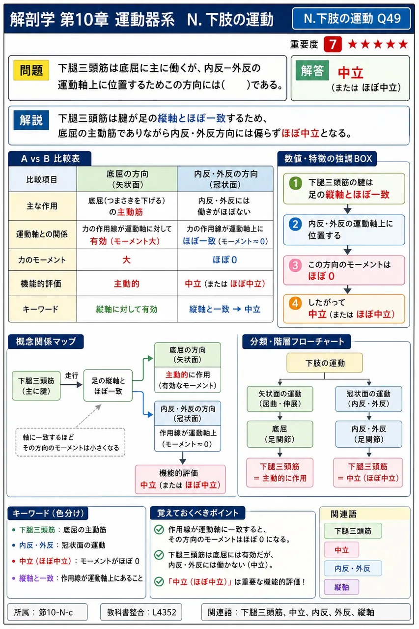 下腿三頭筋は底屈に主に働くが、内反―外反の運動軸上に位置するためこの方向には( )である。 解説図