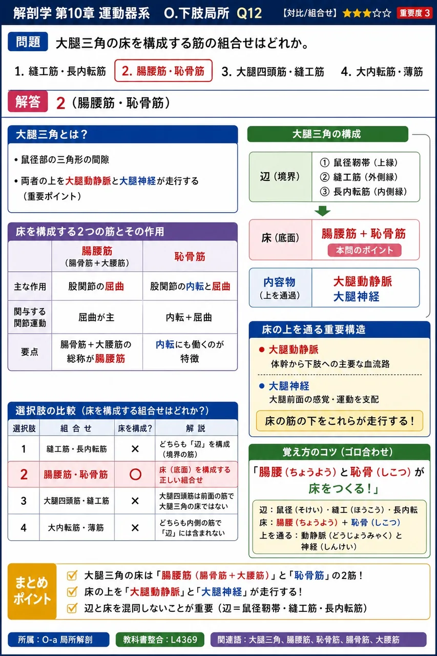 大腿三角の床を構成する筋の組合せはどれか。 解説図