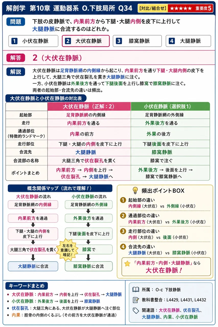 下肢の皮静脈で、内果前方から下腿・大腿内側を皮下に上行して大腿静脈に合流するのはどれか。 解説図