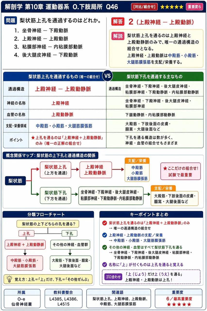 梨状筋上孔を通過するのはどれか。 解説図