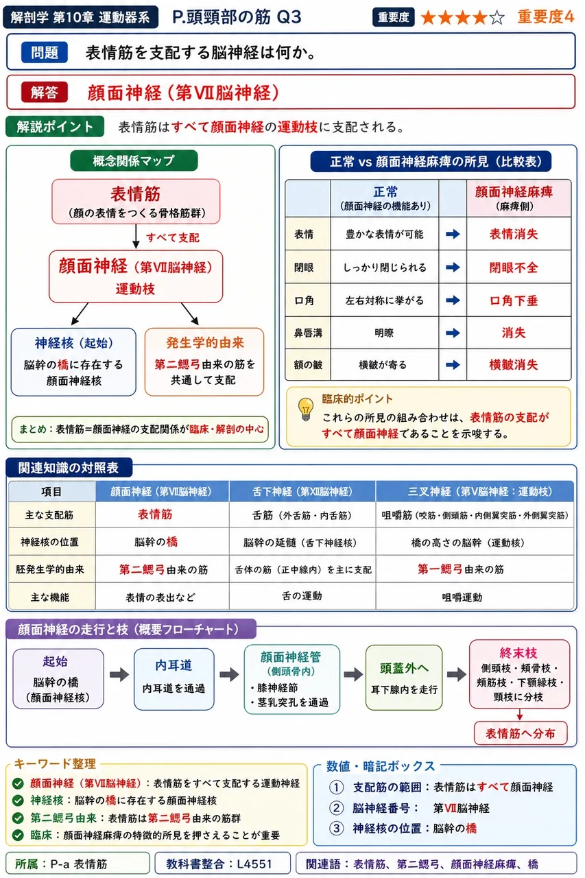 表情筋を支配する脳神経は何か。 解説図