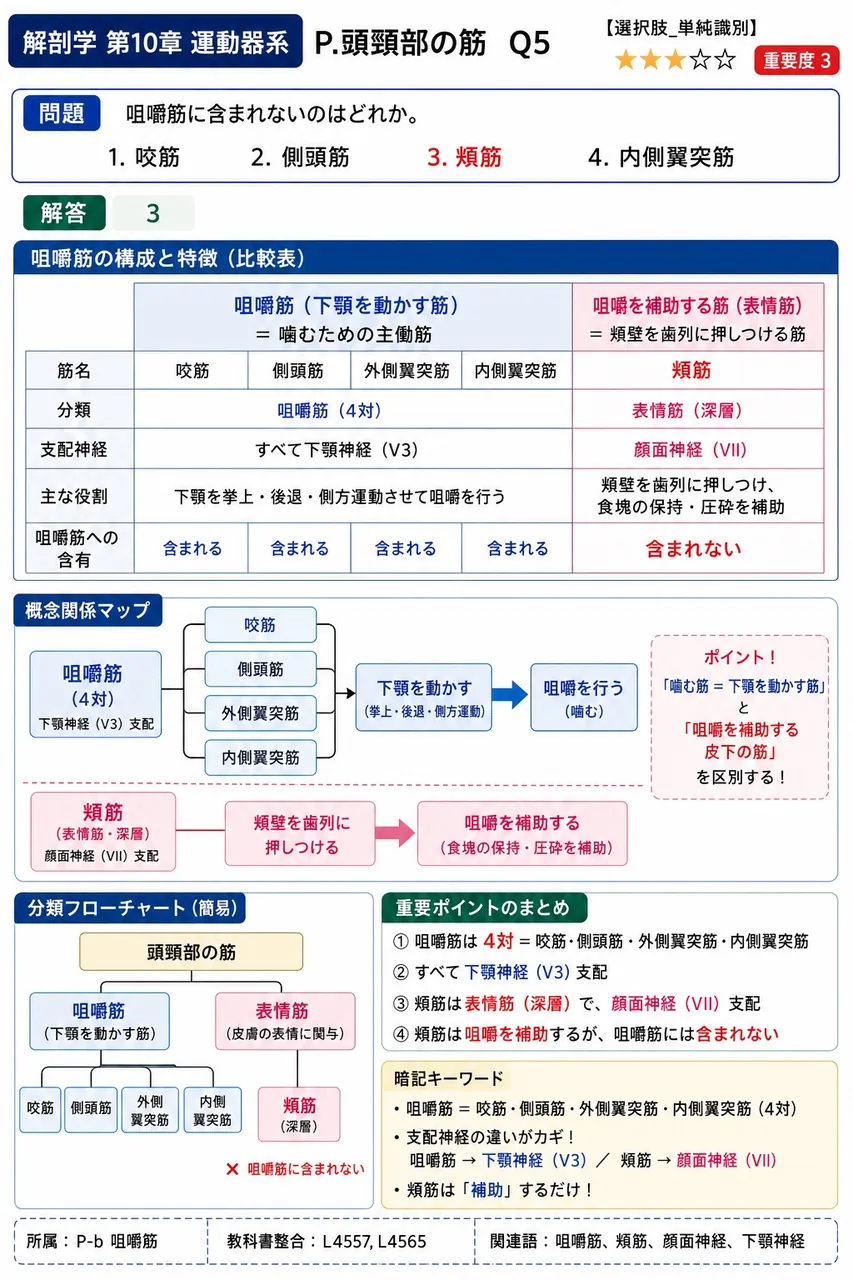 咀嚼筋に含まれないのはどれか。 解説図