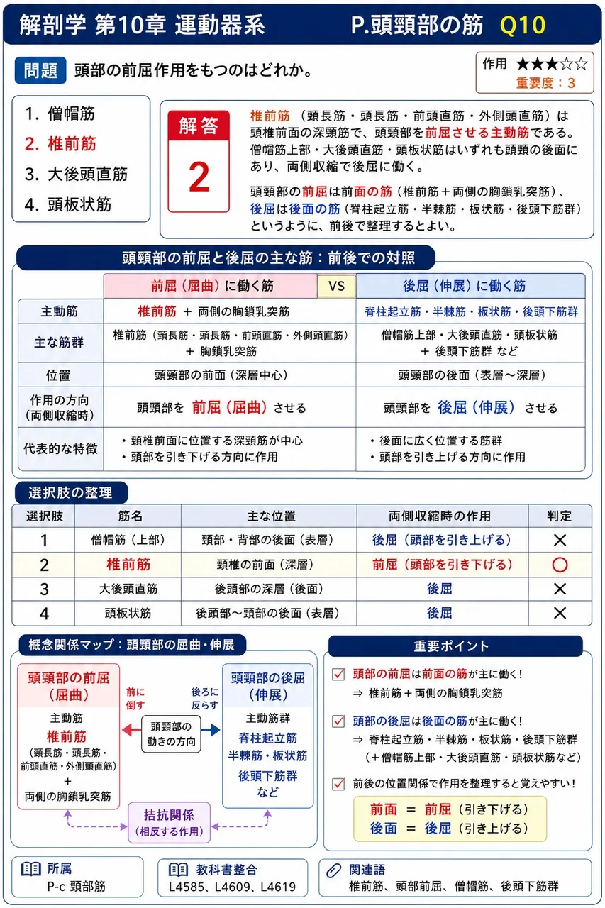 頭部の前屈作用をもつのはどれか。 解説図
