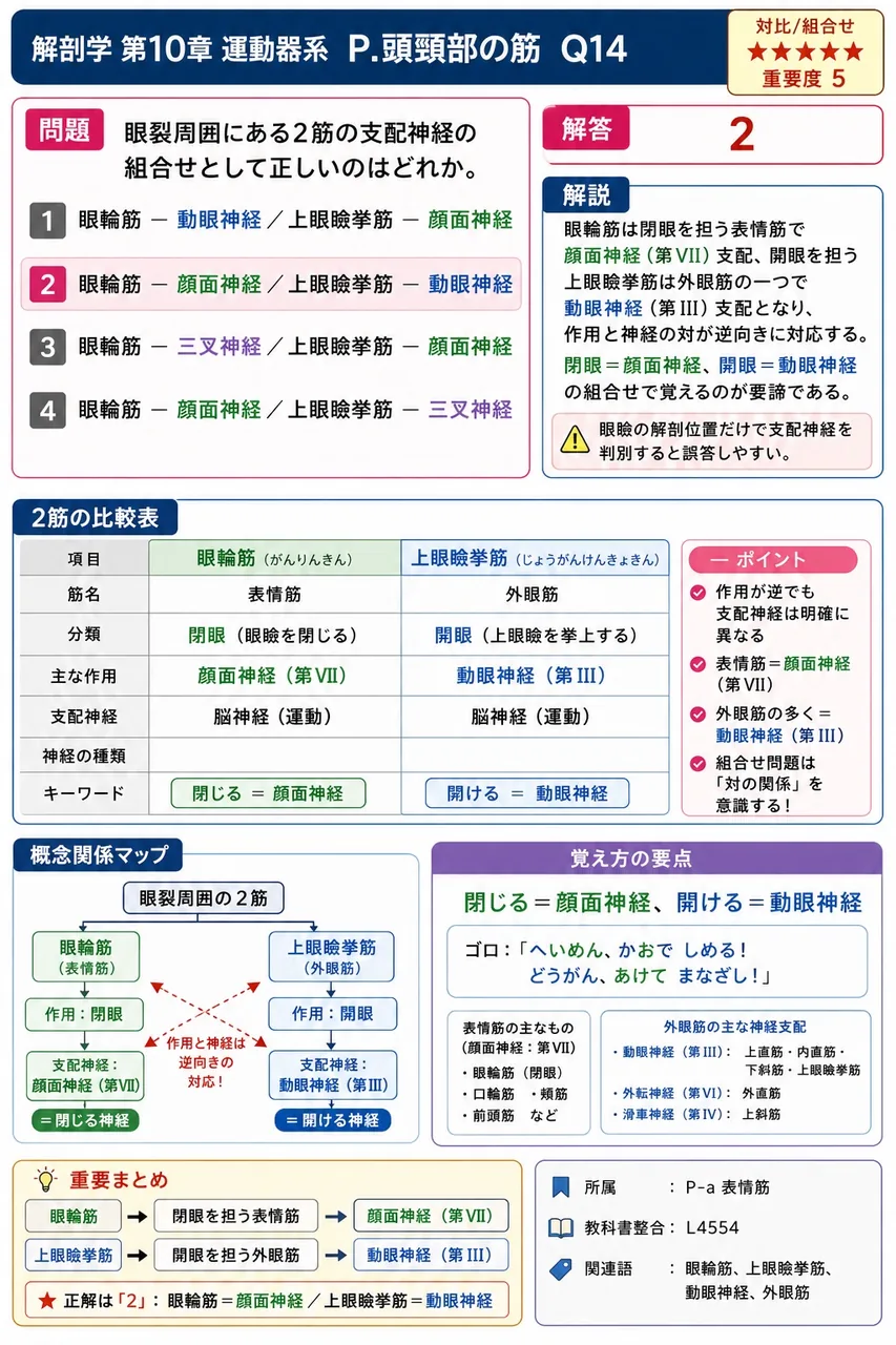 眼裂周囲にある2筋の支配神経の組合せとして正しいのはどれか。 解説図