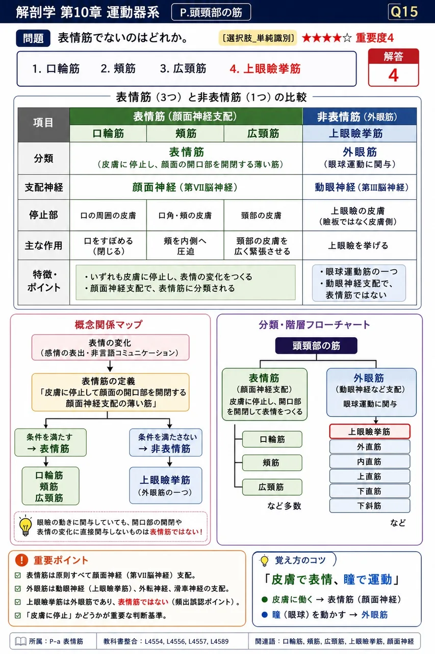 表情筋でないのはどれか。 解説図