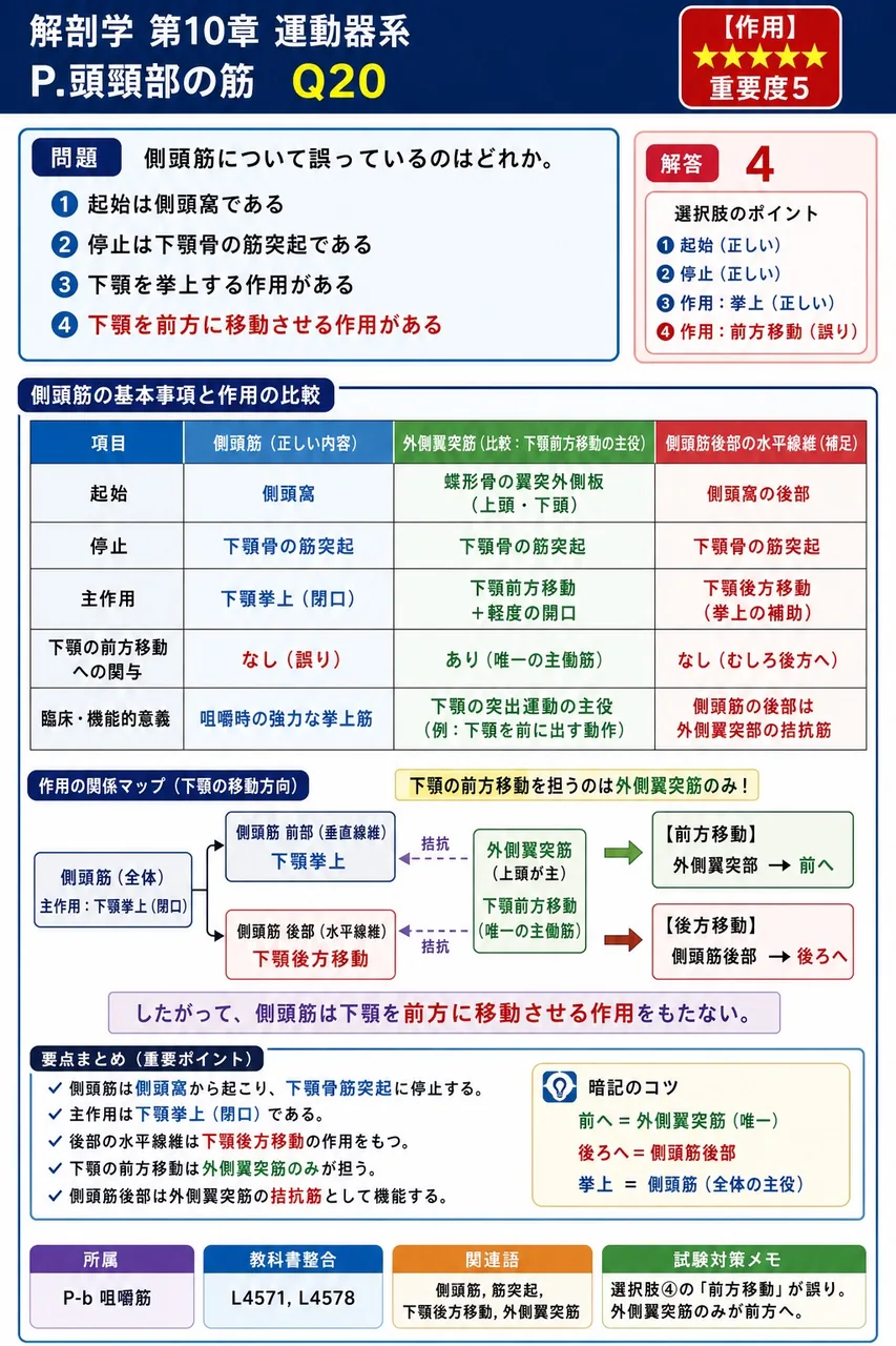 側頭筋について誤っているのはどれか。 解説図