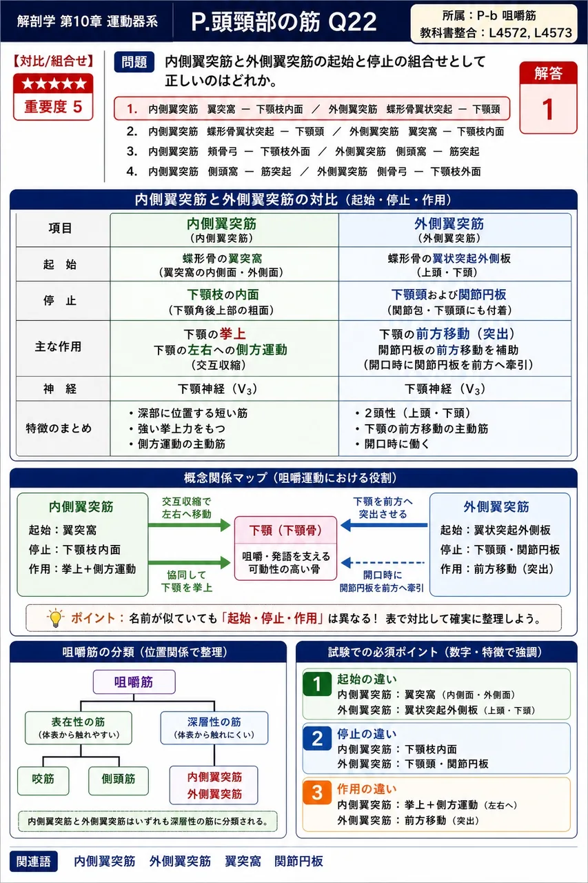 内側翼突筋と外側翼突筋の起始と停止の組合せとして正しいのはどれか。 解説図