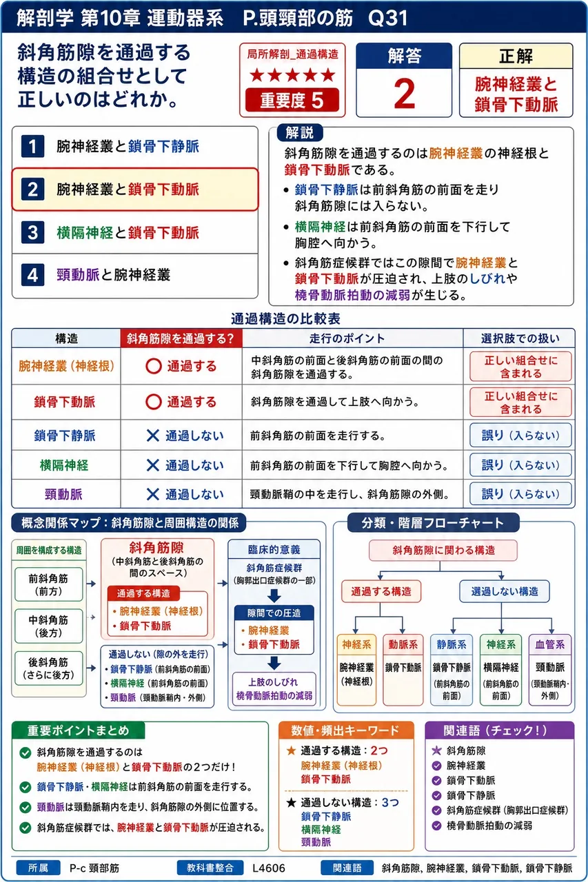 斜角筋隙を通過する構造の組合せとして正しいのはどれか。 解説図