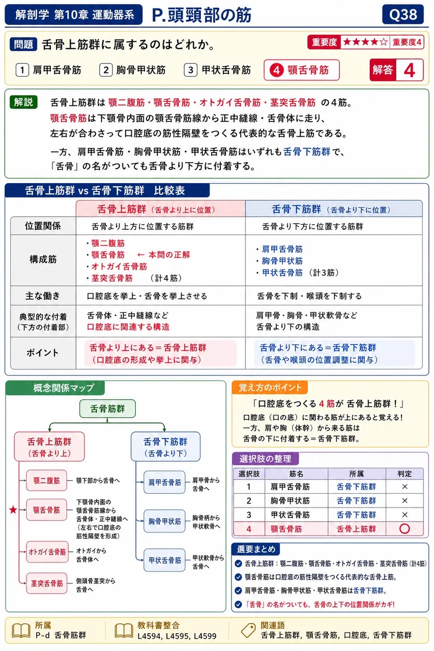 舌骨上筋群に属するのはどれか。 解説図