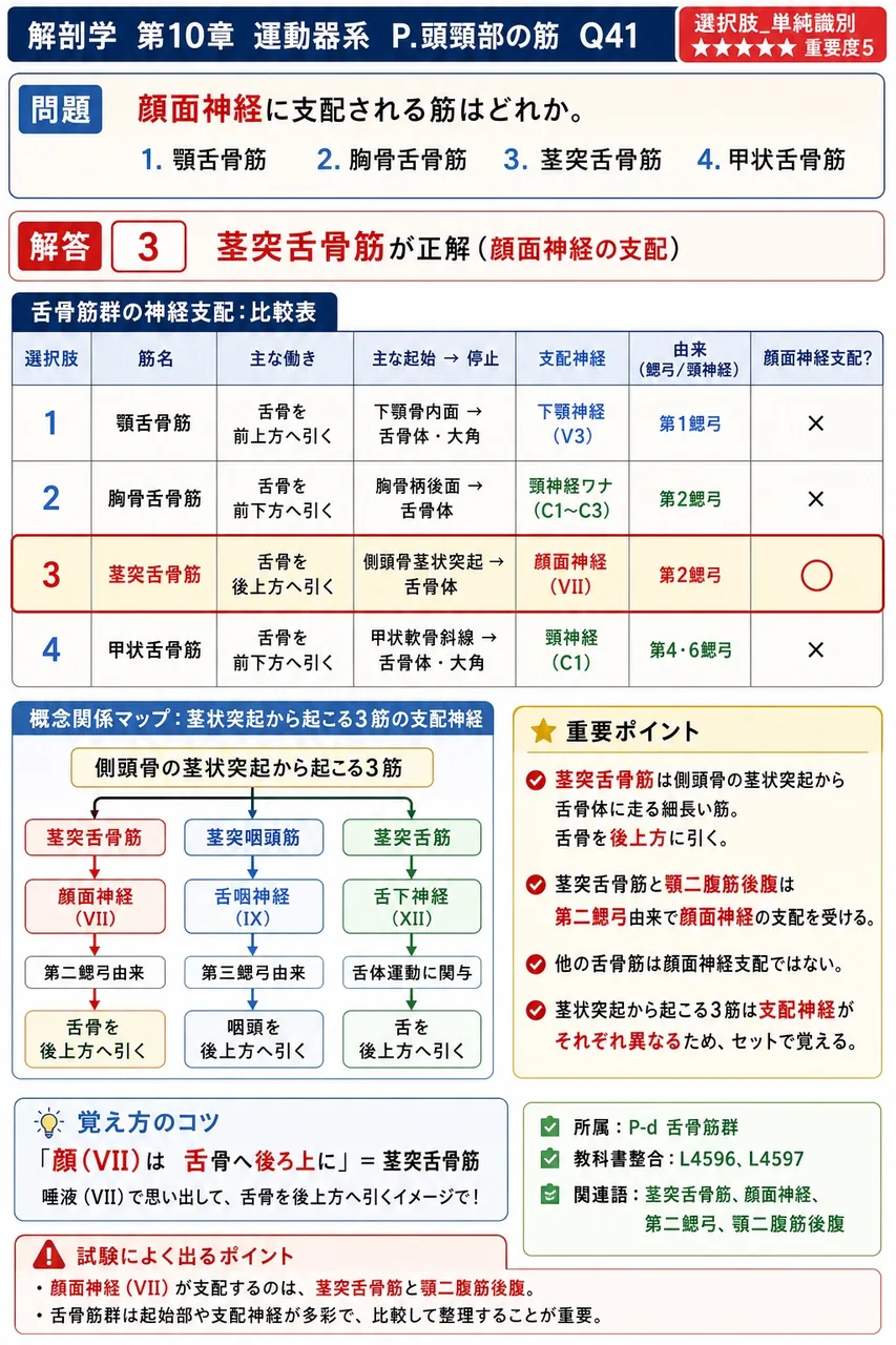 顔面神経に支配される筋はどれか。 解説図