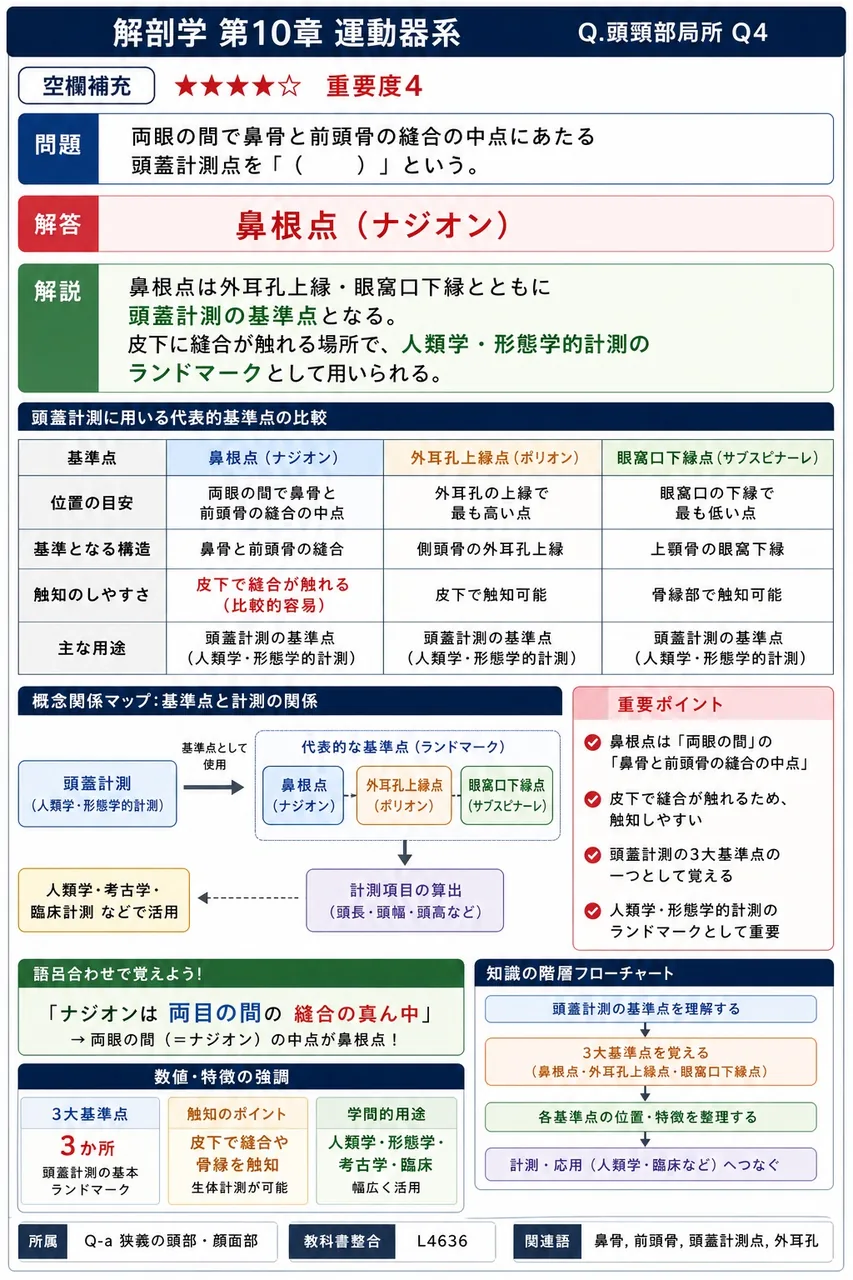 両眼の間で鼻骨と前頭骨の縫合の中点にあたる頭蓋計測点を「( )」という。 解説図