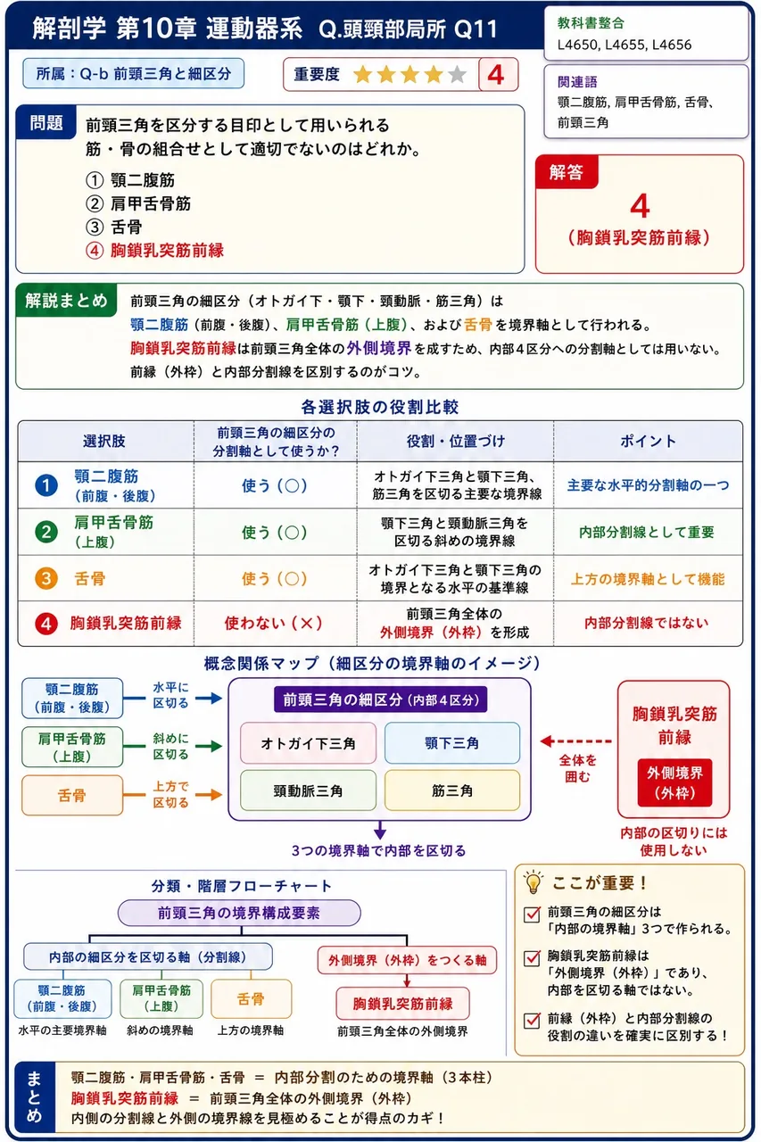 前頸三角を区分する目印として用いられる筋・骨の組合せとして適切でないのはどれか。 解説図