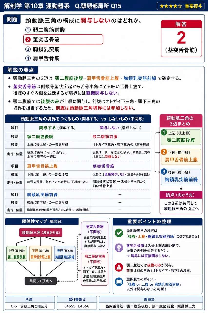 頸動脈三角の構成に関与しないのはどれか。 解説図