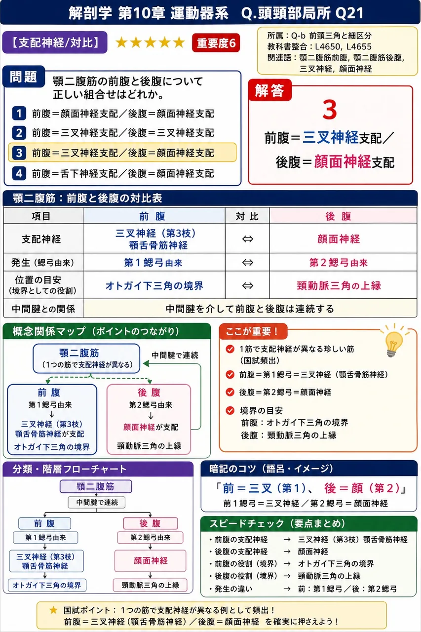 顎二腹筋の前腹と後腹について正しい組合せはどれか。 解説図