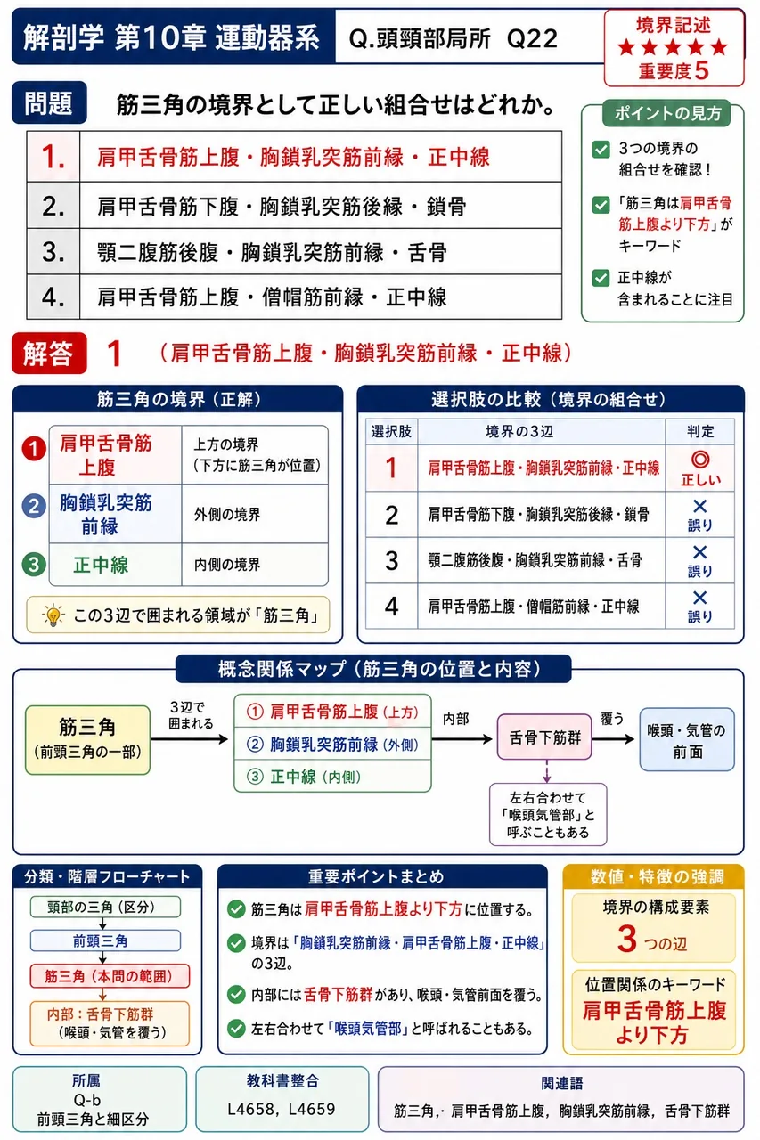 筋三角の境界として正しい組合せはどれか。 解説図