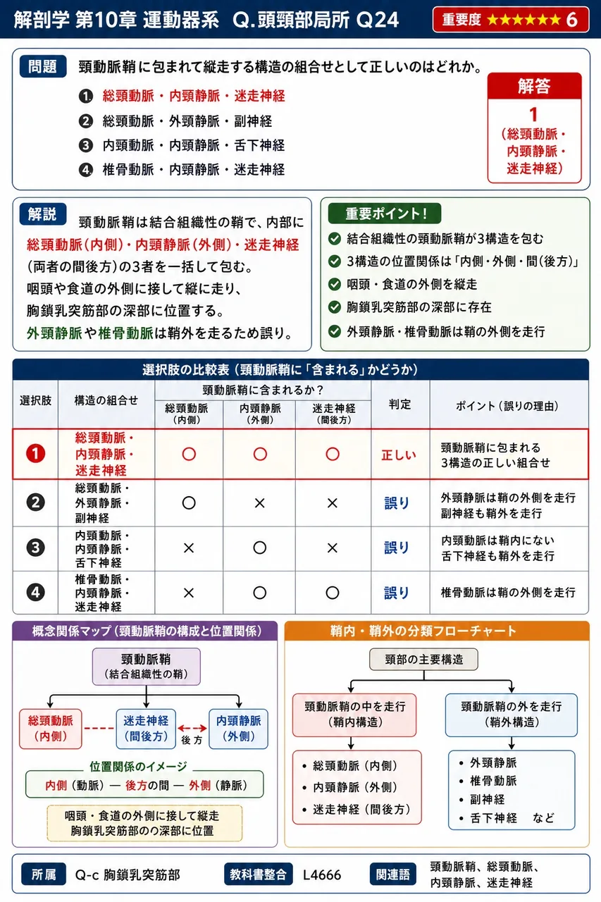 頸動脈鞘に包まれて縦走する構造の組合せとして正しいのはどれか。 解説図
