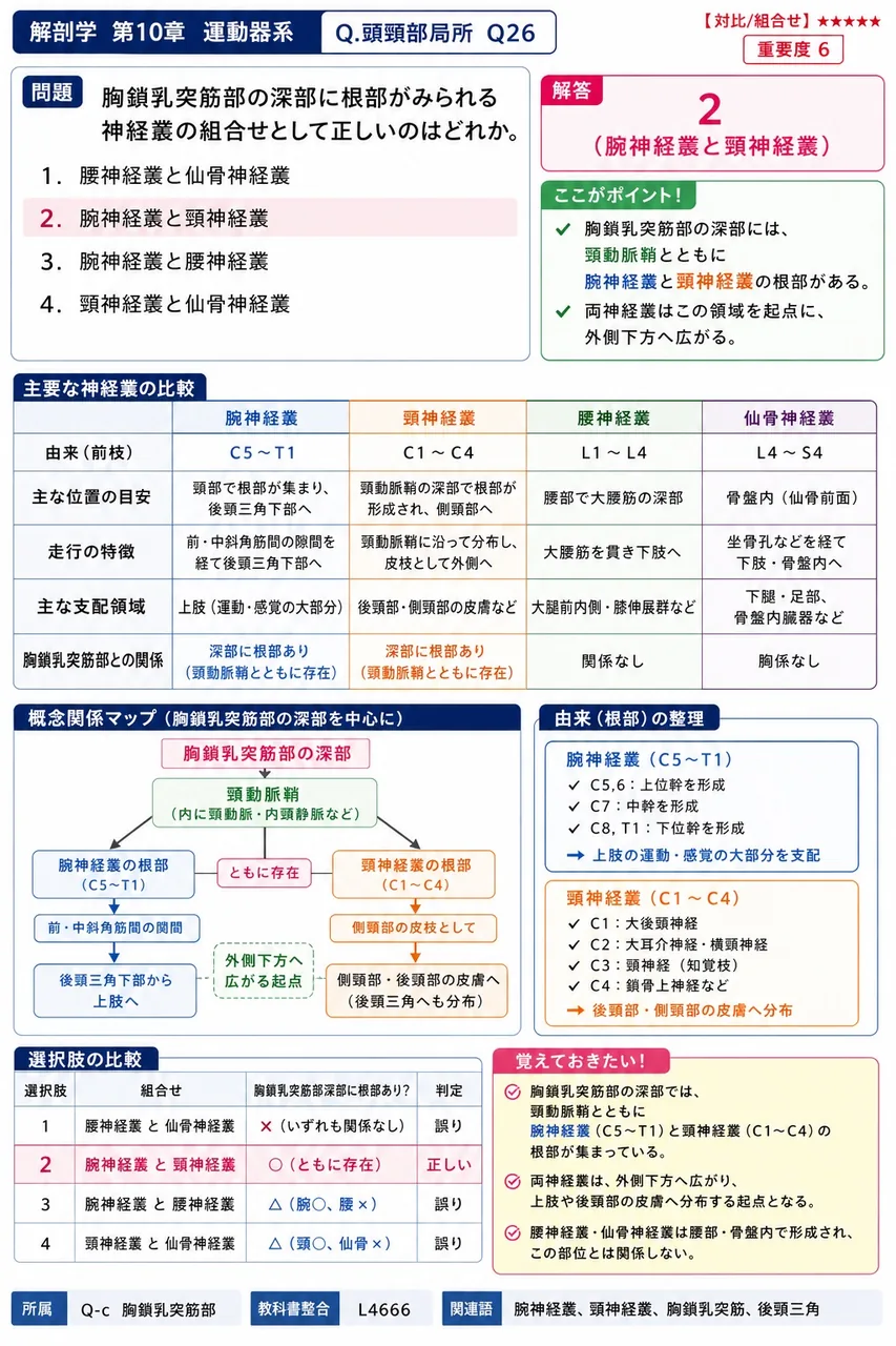 胸鎖乳突筋部の深部に根部がみられる神経叢の組合せとして正しいのはどれか。 解説図
