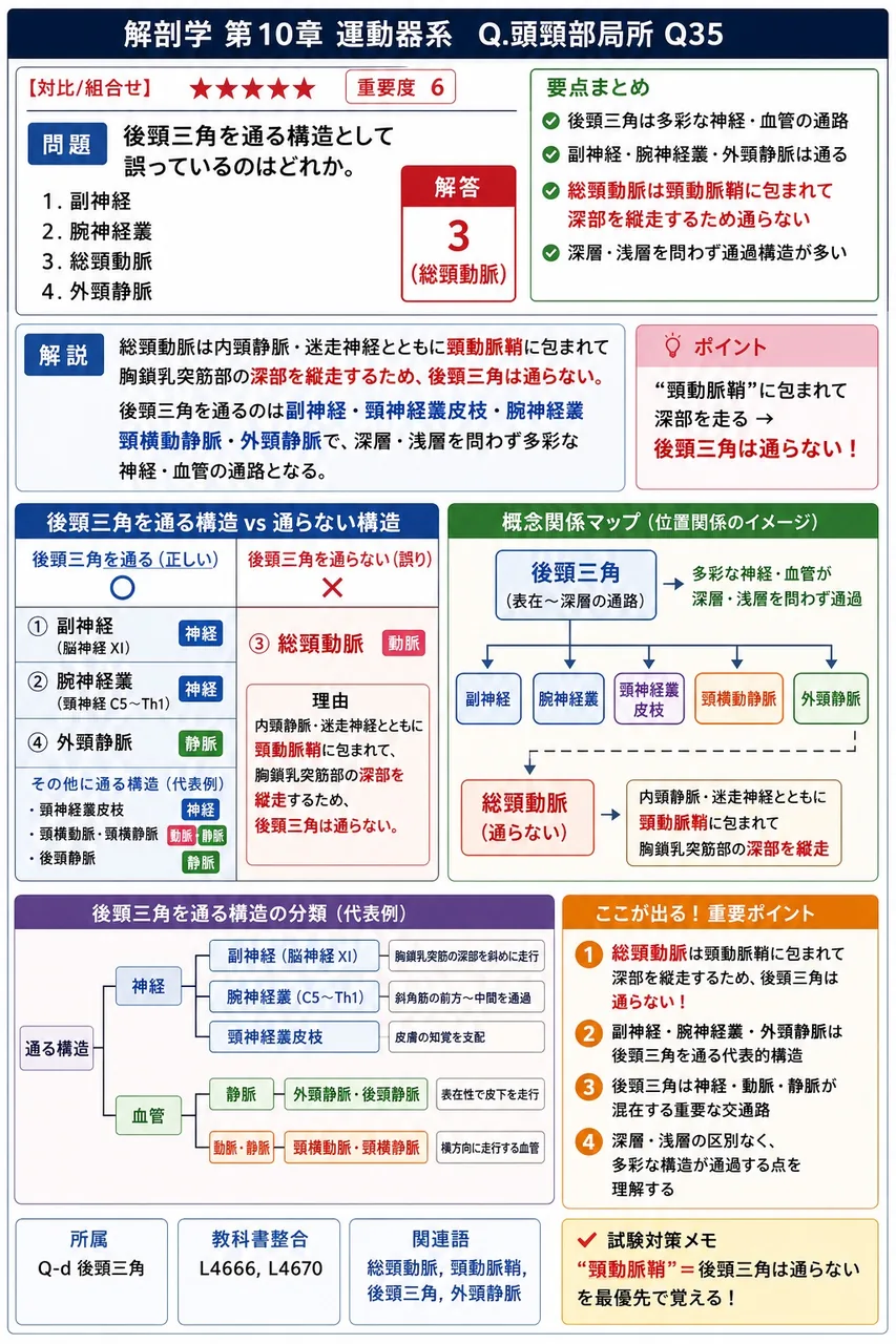 後頸三角を通る構造として誤っているのはどれか。 解説図