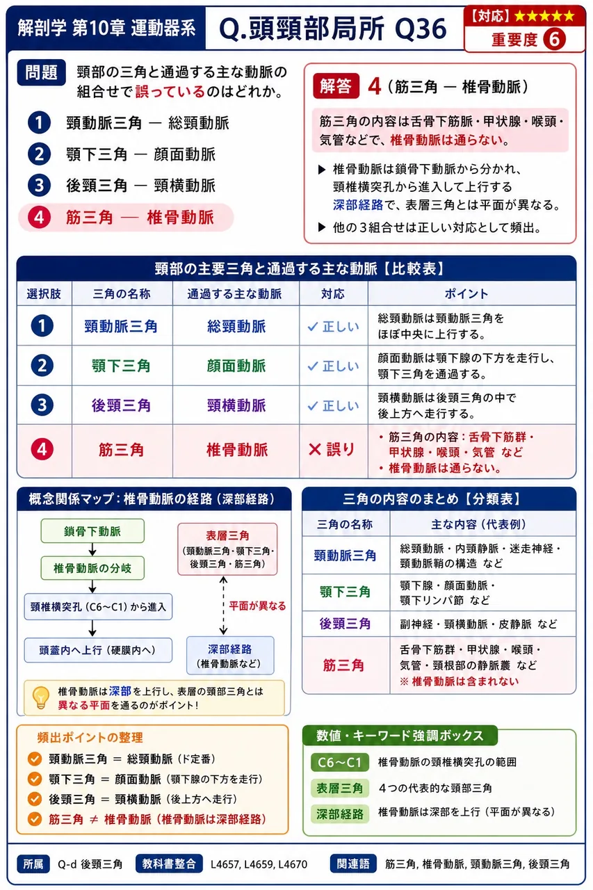 頸部の三角と通過する主な動脈の組合せで誤っているのはどれか。 解説図