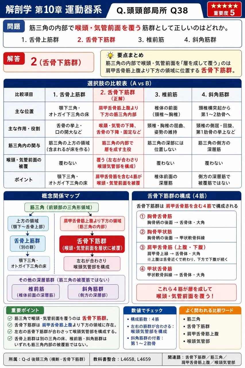 筋三角の内部で喉頭・気管前面を覆う筋群として正しいのはどれか。 解説図
