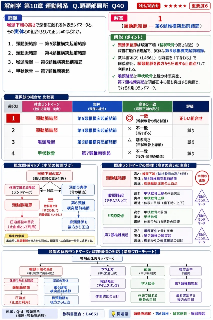 喉頭下端の高さで深部に触れる体表ランドマークと、その実体との組合せとして正しいのはどれか。 解説図
