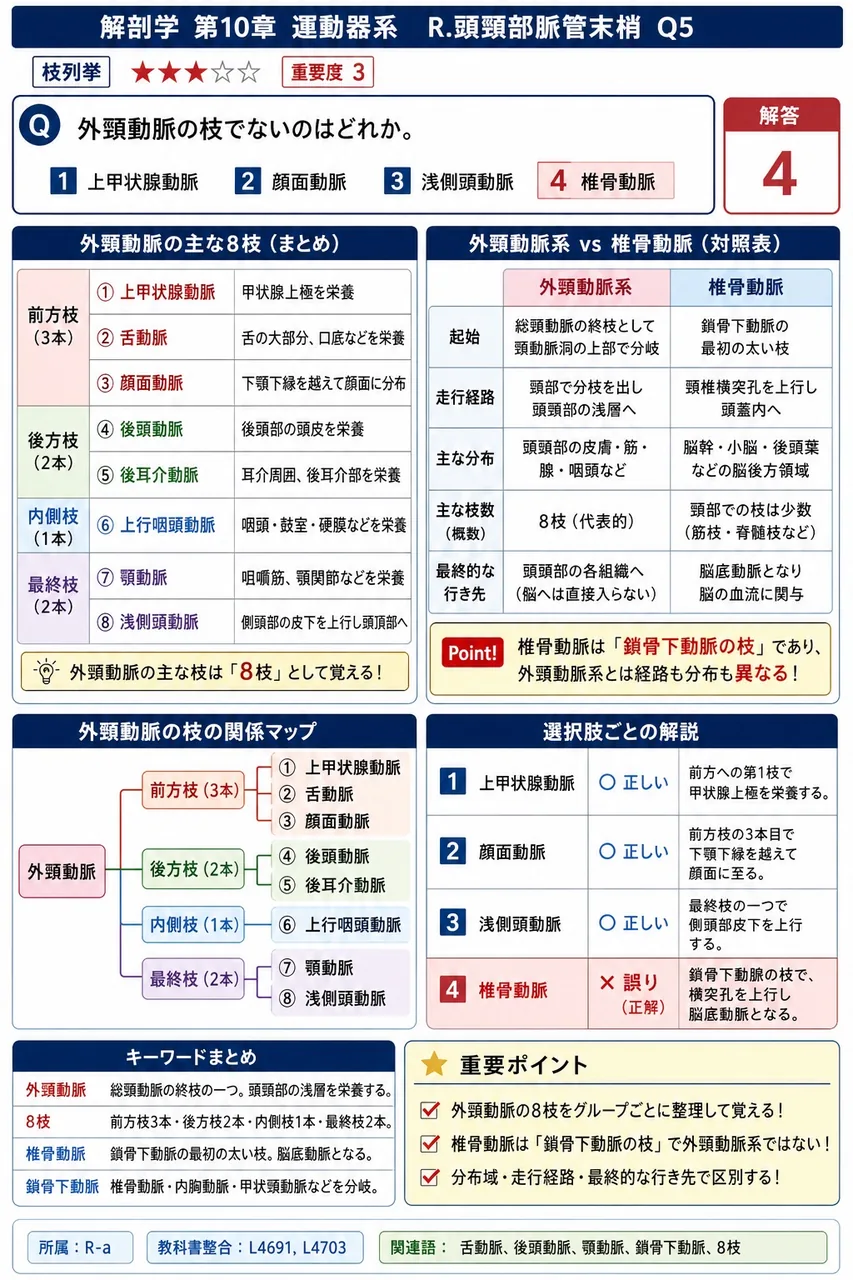 外頸動脈の枝でないのはどれか。 解説図