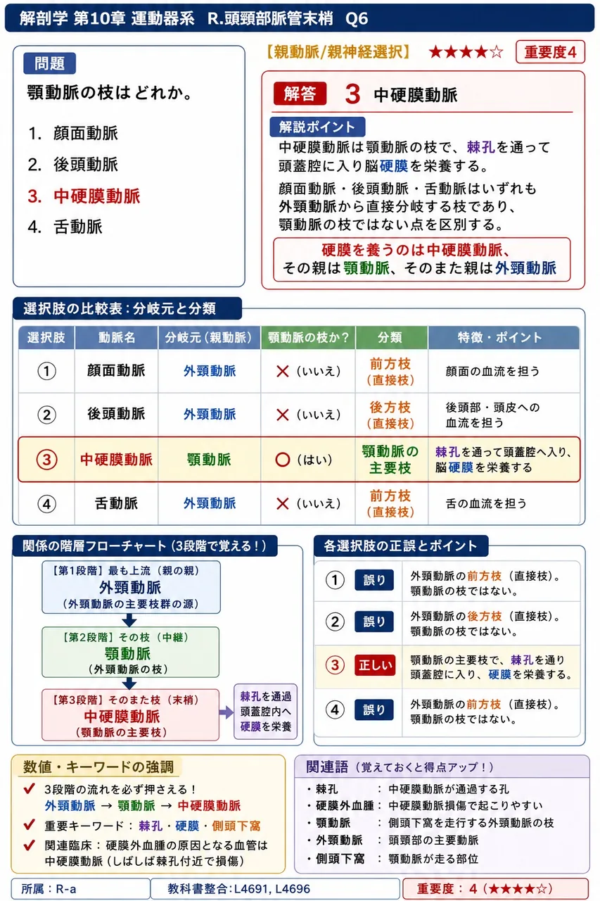 顎動脈の枝はどれか。 解説図