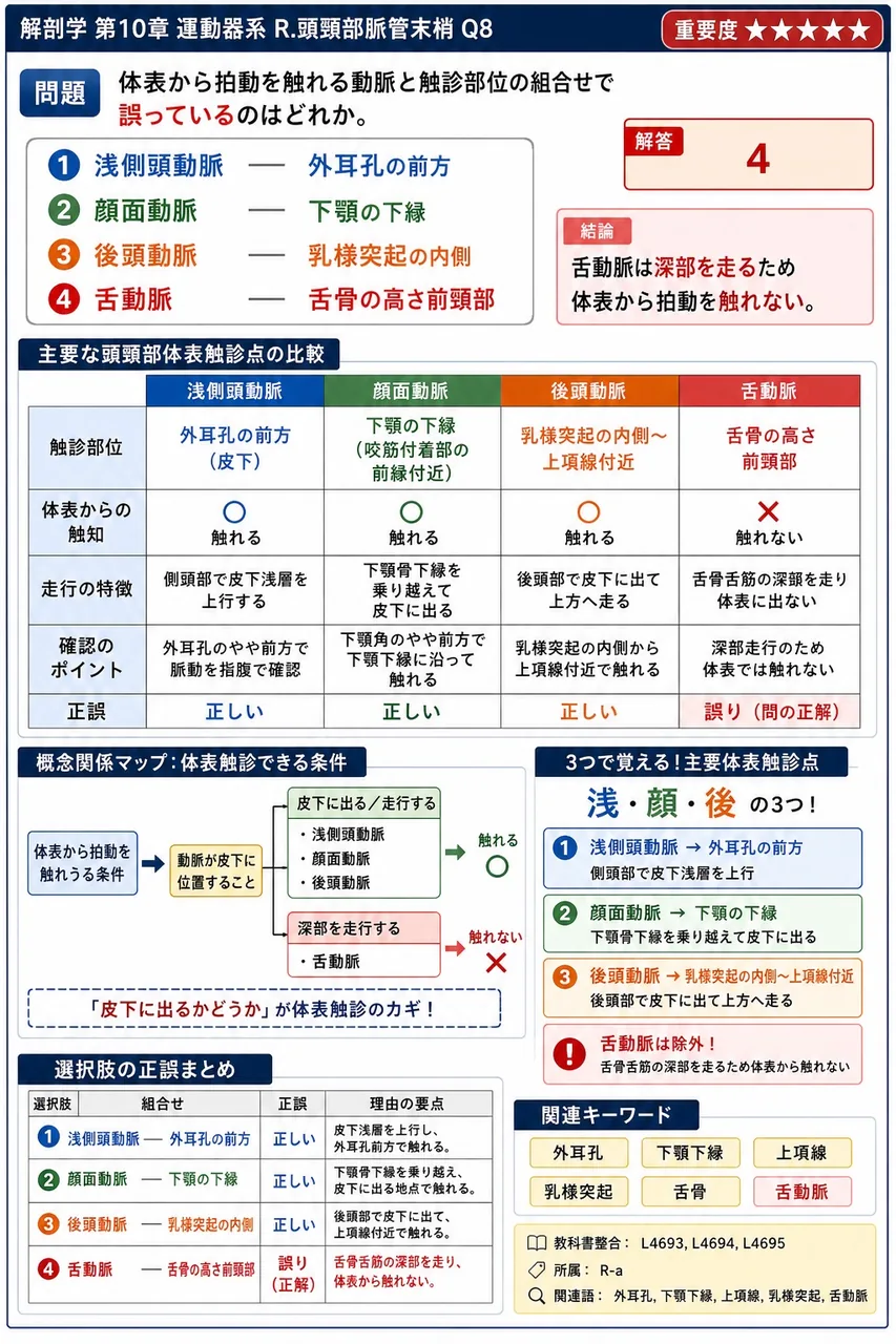 体表から拍動を触れる動脈と触診部位の組合せで誤っているのはどれか。 解説図