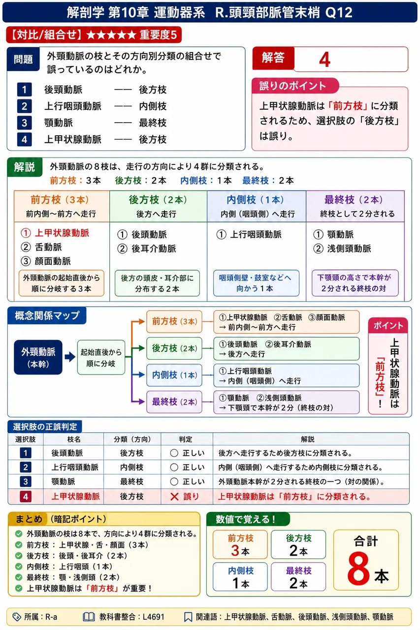 外頸動脈の枝とその方向別分類の組合せで誤っているのはどれか。 解説図