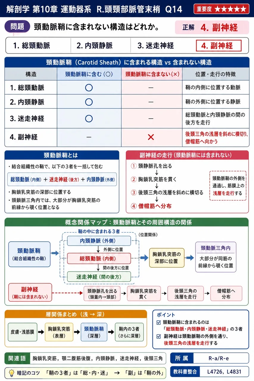 頸動脈鞘に含まれない構造はどれか。 解説図