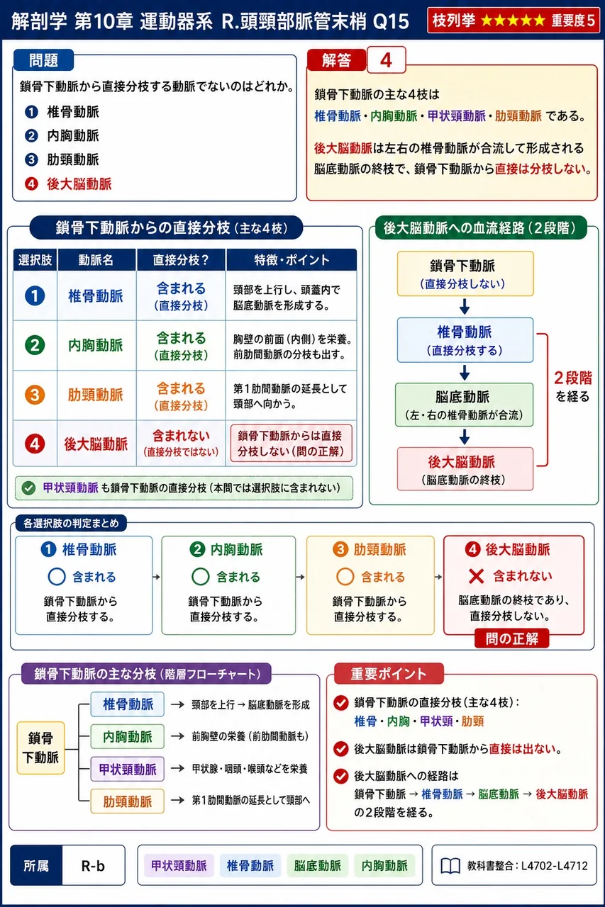 鎖骨下動脈から直接分枝する動脈でないのはどれか。 解説図