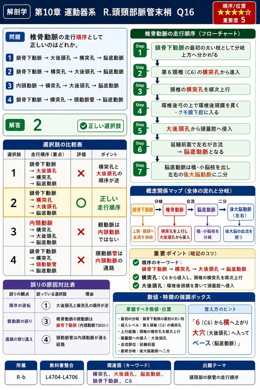 椎骨動脈の走行順序として正しいのはどれか。 解説図