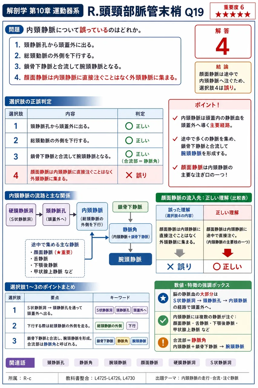 内頸静脈について誤っているのはどれか。 解説図