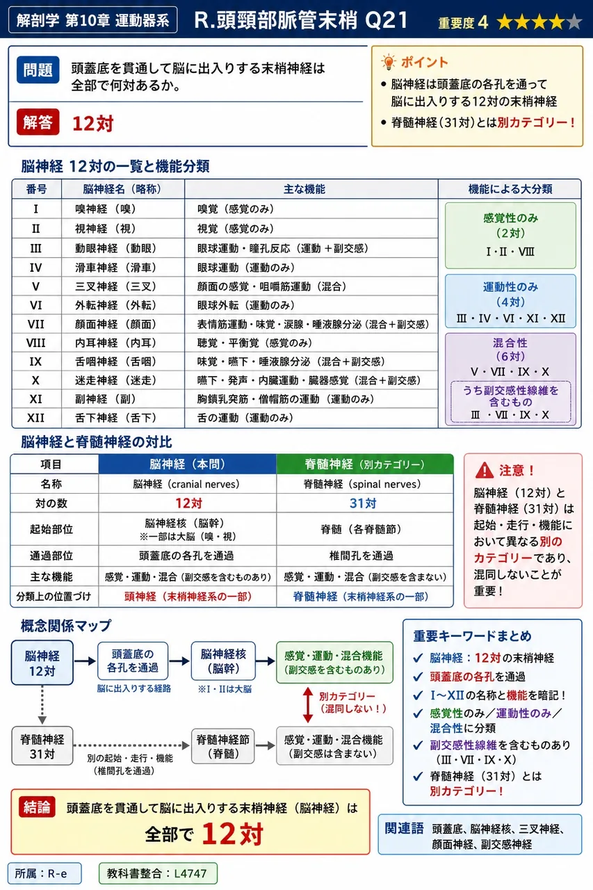 頭蓋底を貫通して脳に出入りする末梢神経は全部で何対あるか。 解説図