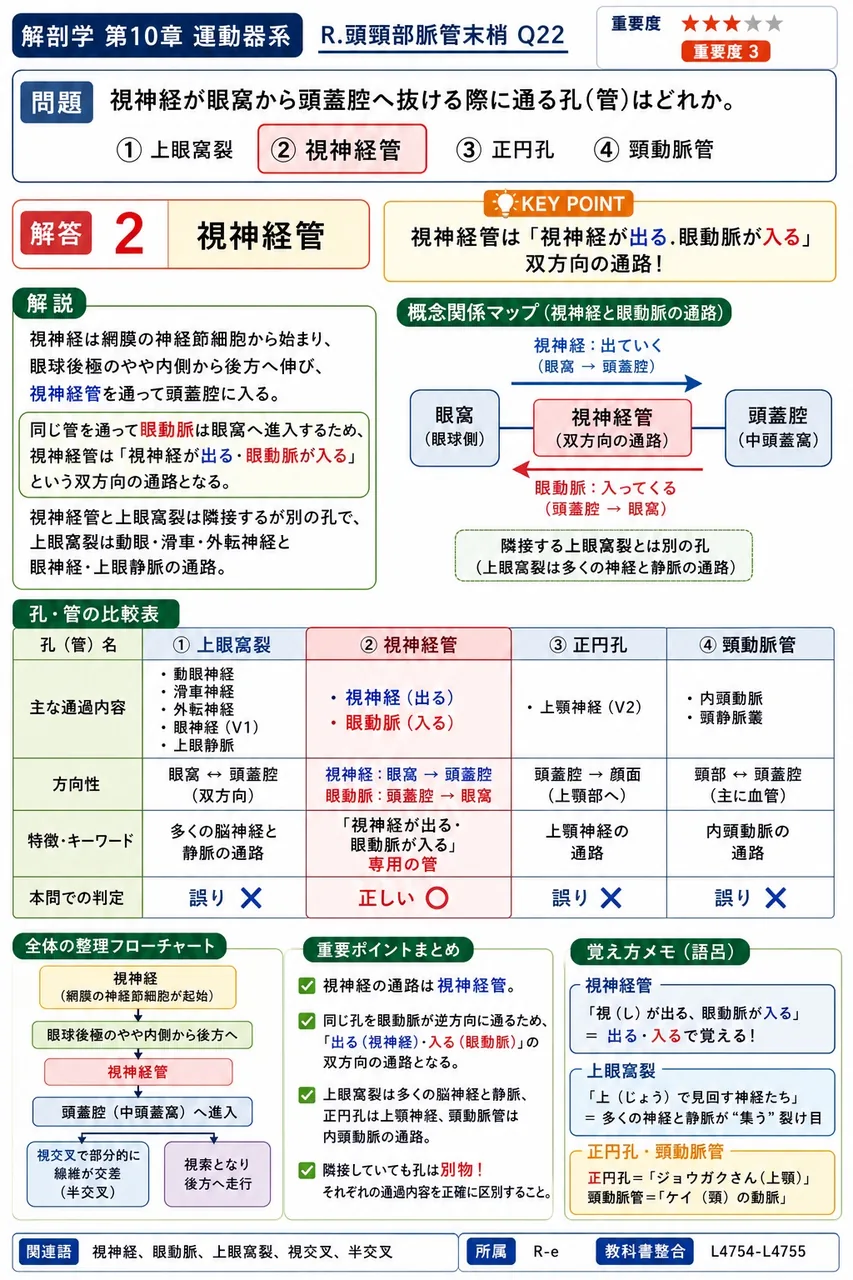 視神経が眼窩から頭蓋腔へ抜ける際に通る孔(管)はどれか。 解説図