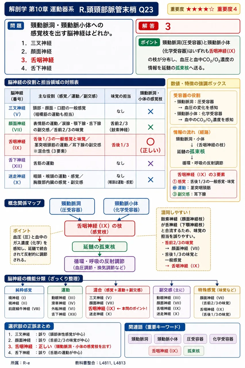 頸動脈洞・頸動脈小体への感覚枝を出す脳神経はどれか。 解説図