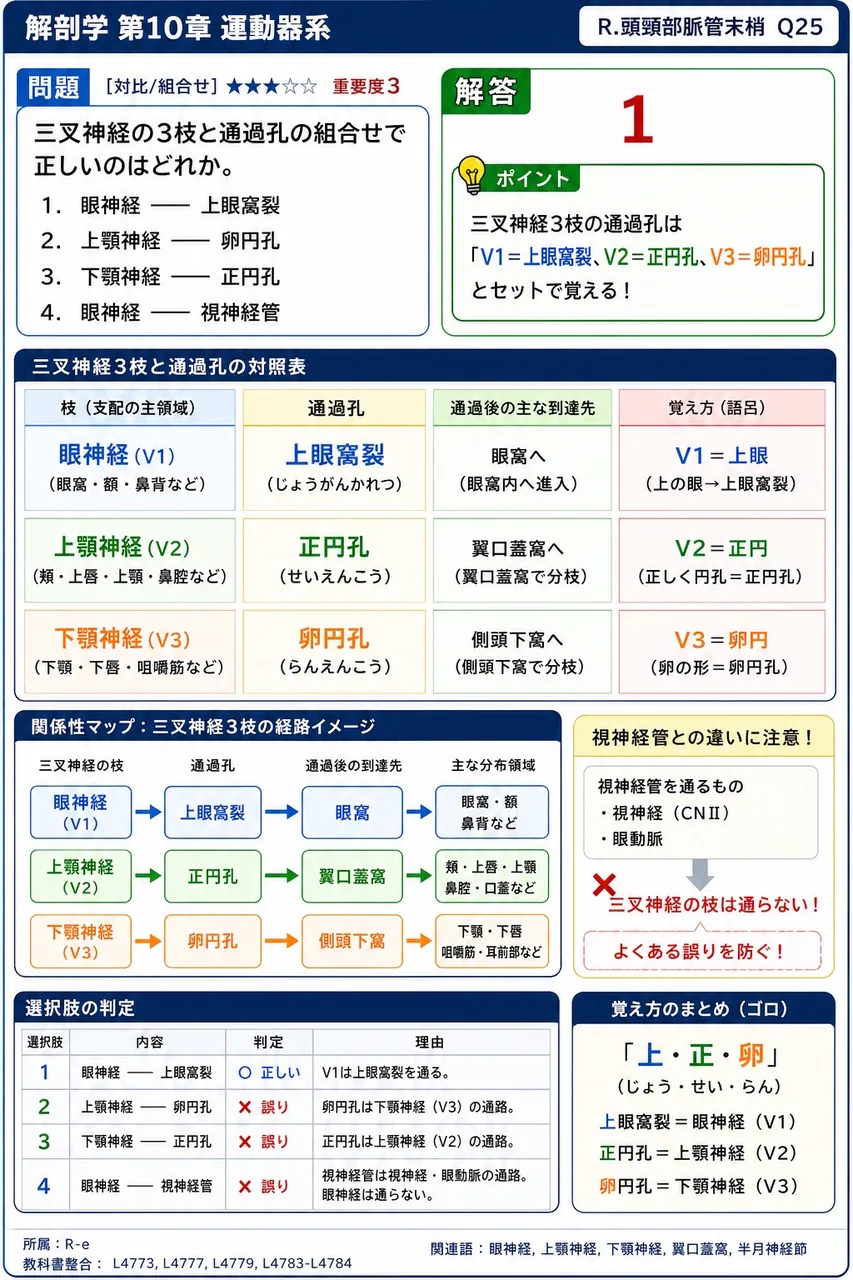 三叉神経の3枝と通過孔の組合せで正しいのはどれか。 解説図