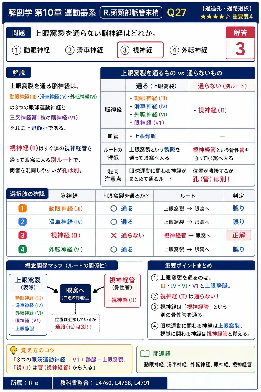 上眼窩裂を通らない脳神経はどれか。 解説図