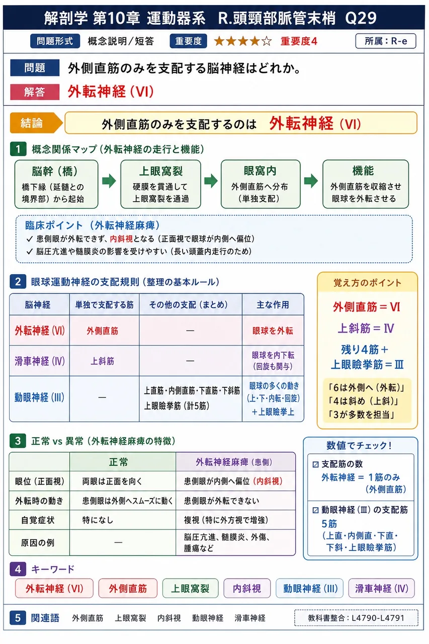 外側直筋のみを支配する脳神経はどれか。 解説図