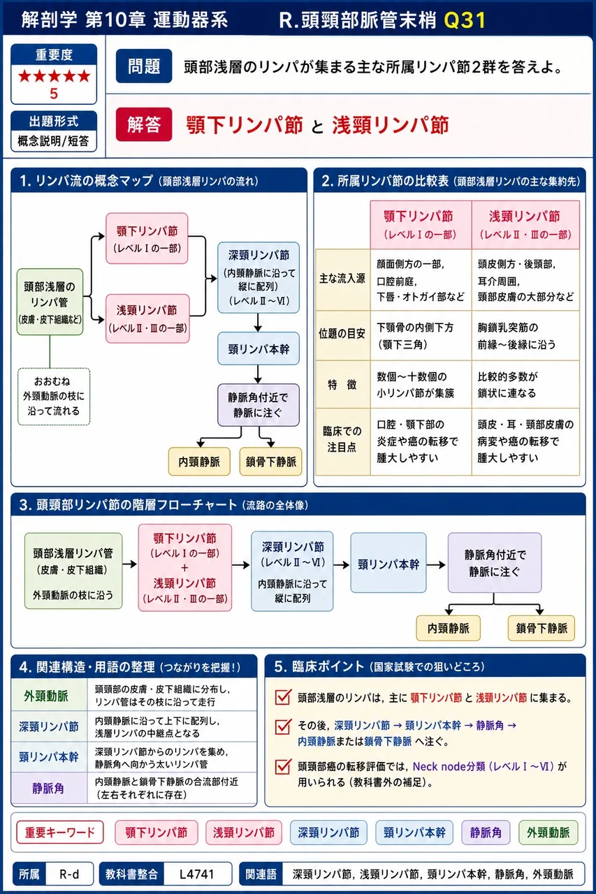 頭部浅層のリンパが集まる主な所属リンパ節2群を答えよ。 解説図