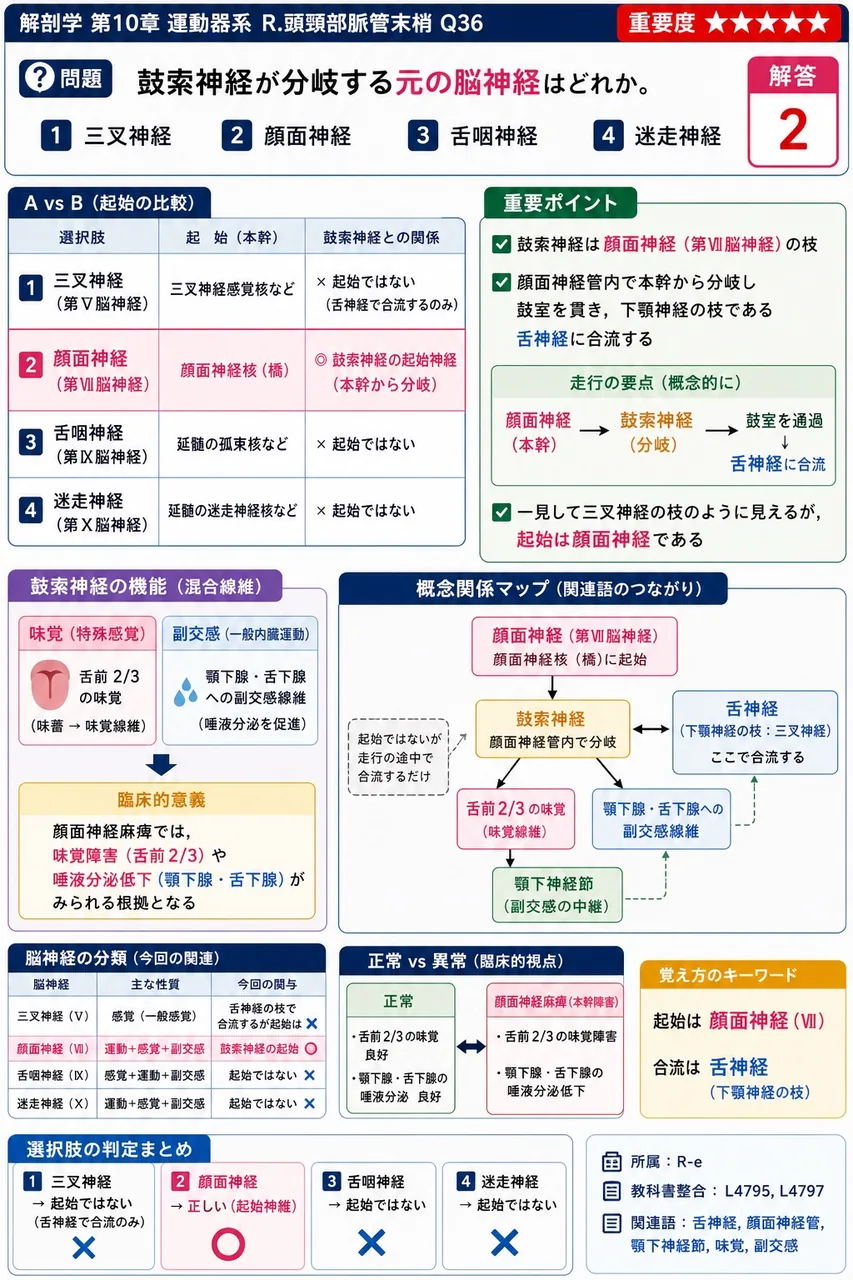 鼓索神経が分岐する元の脳神経はどれか。 解説図