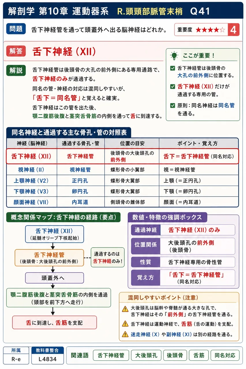 舌下神経管を通って頭蓋外へ出る脳神経はどれか。 解説図