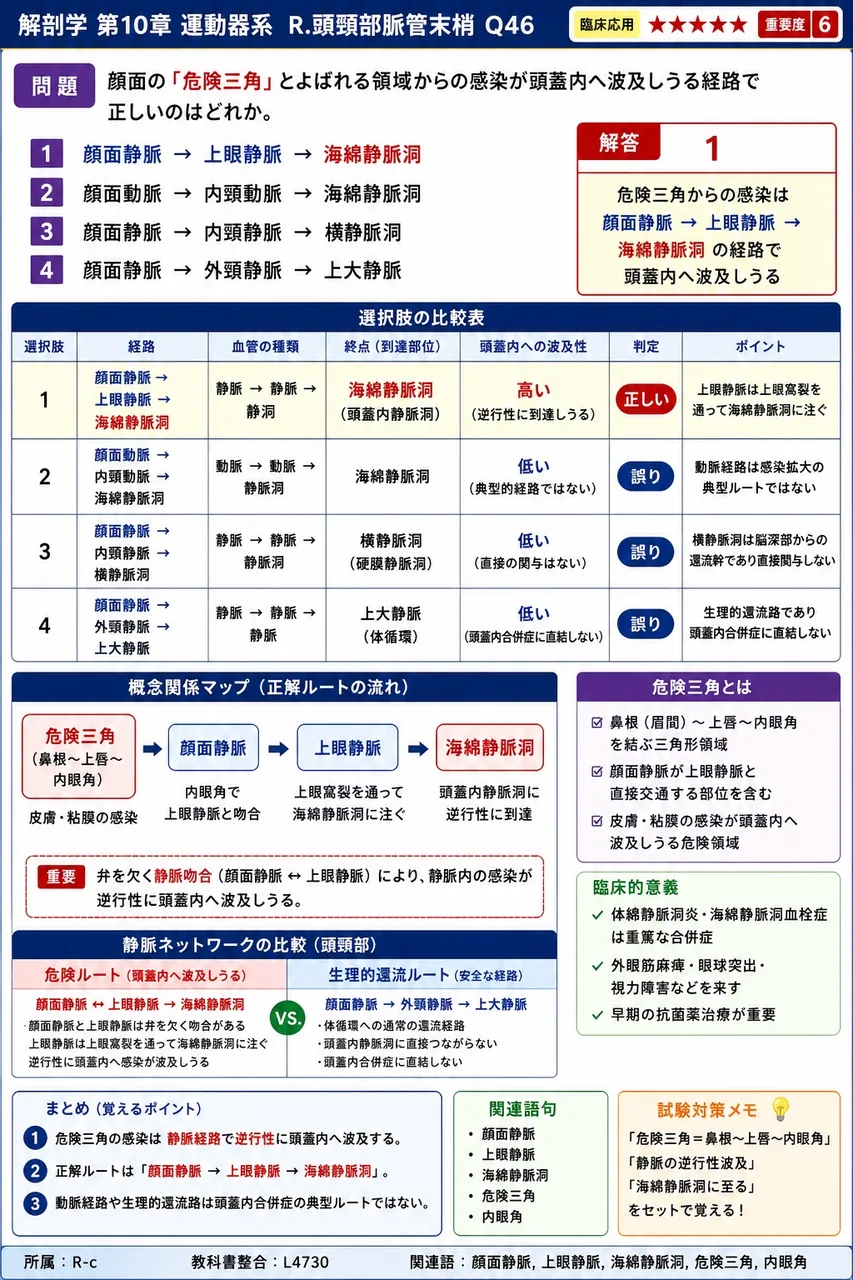 顔面の「危険三角」とよばれる領域からの感染が頭蓋内へ波及しうる経路で正しいのはどれか。 解説図