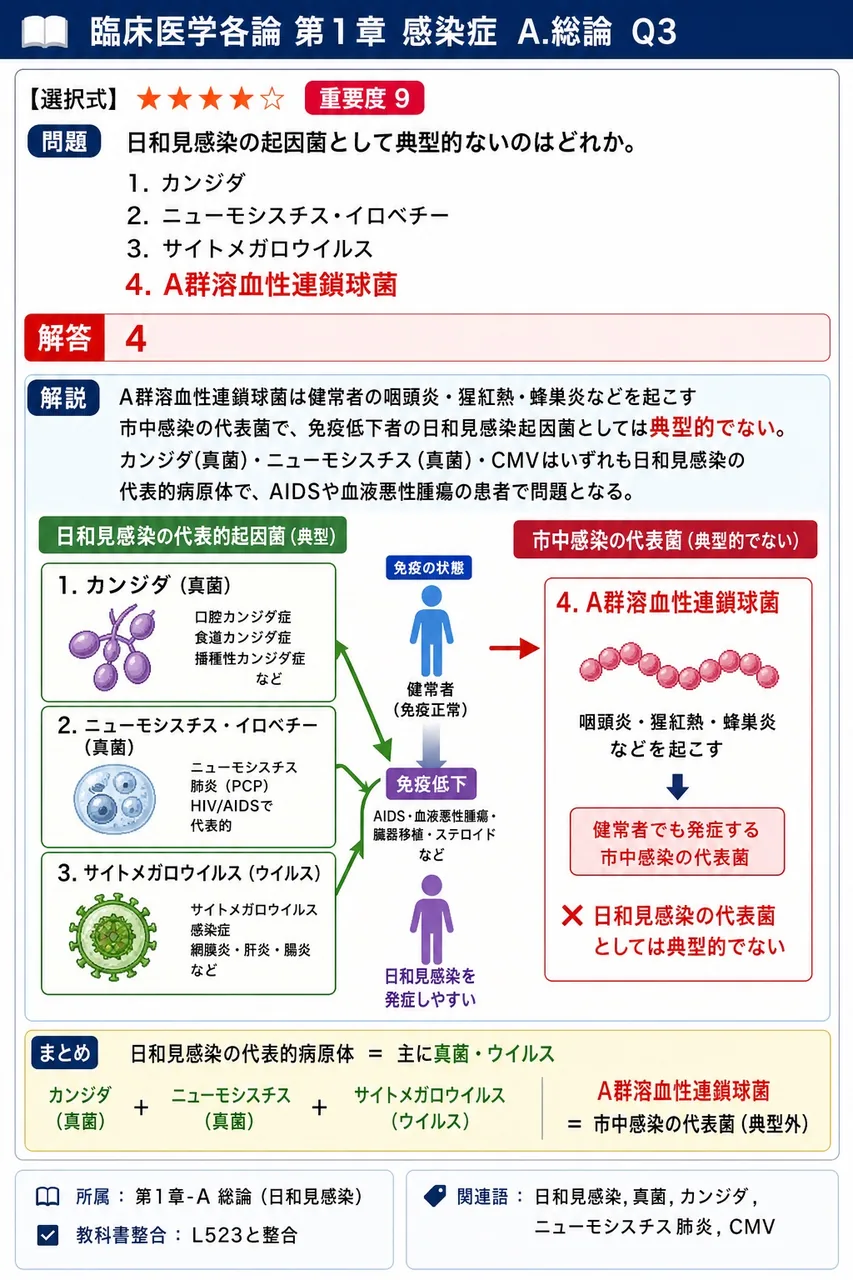日和見感染の起因菌として典型的でないのはどれか。 解説図