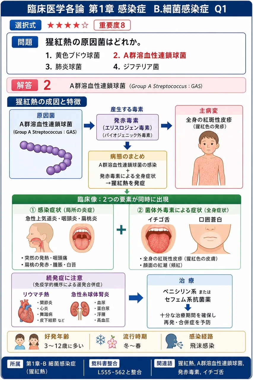 猩紅熱の原因菌はどれか。 解説図