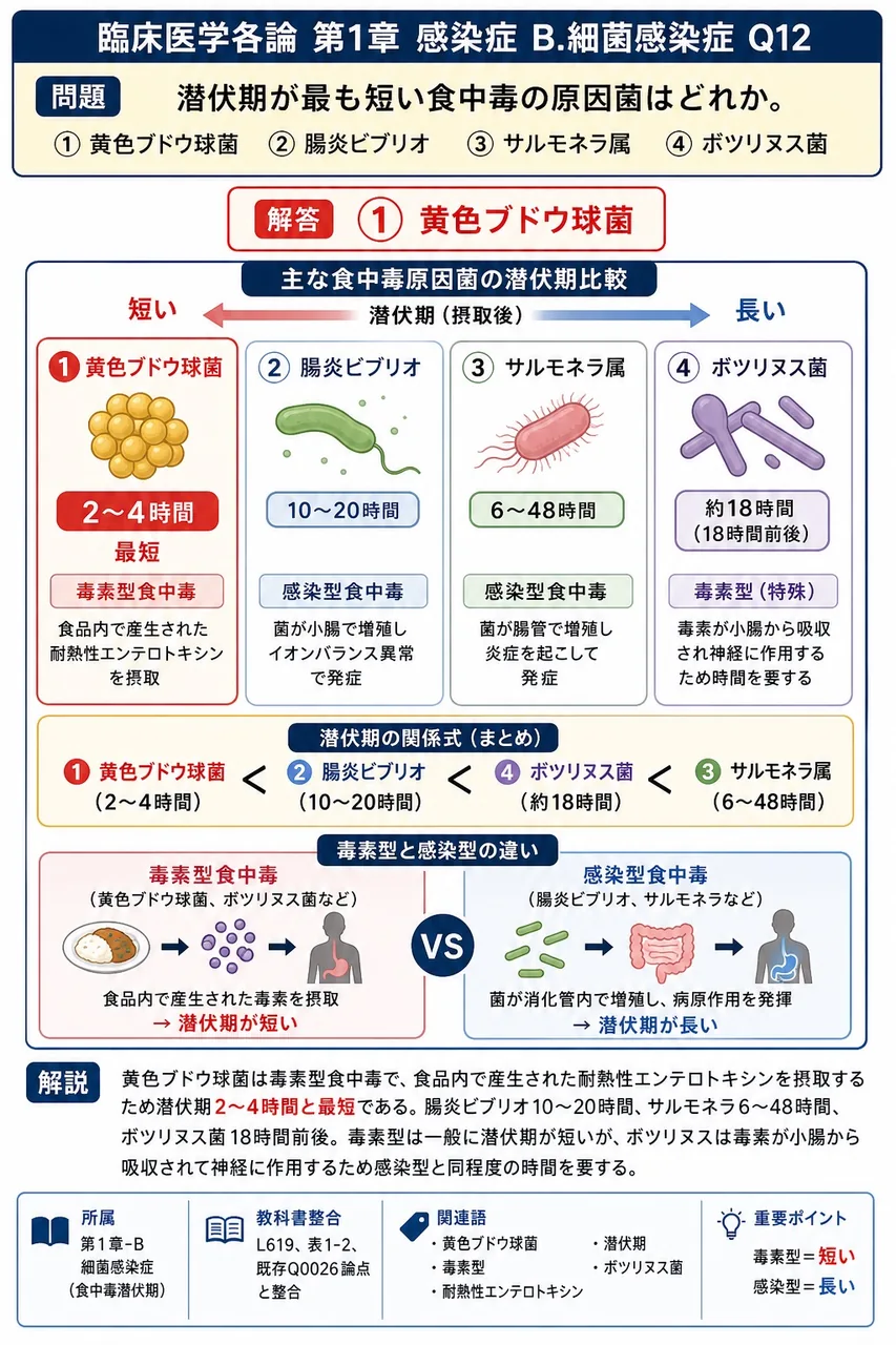 潜伏期が最も短い食中毒の原因菌はどれか。 解説図