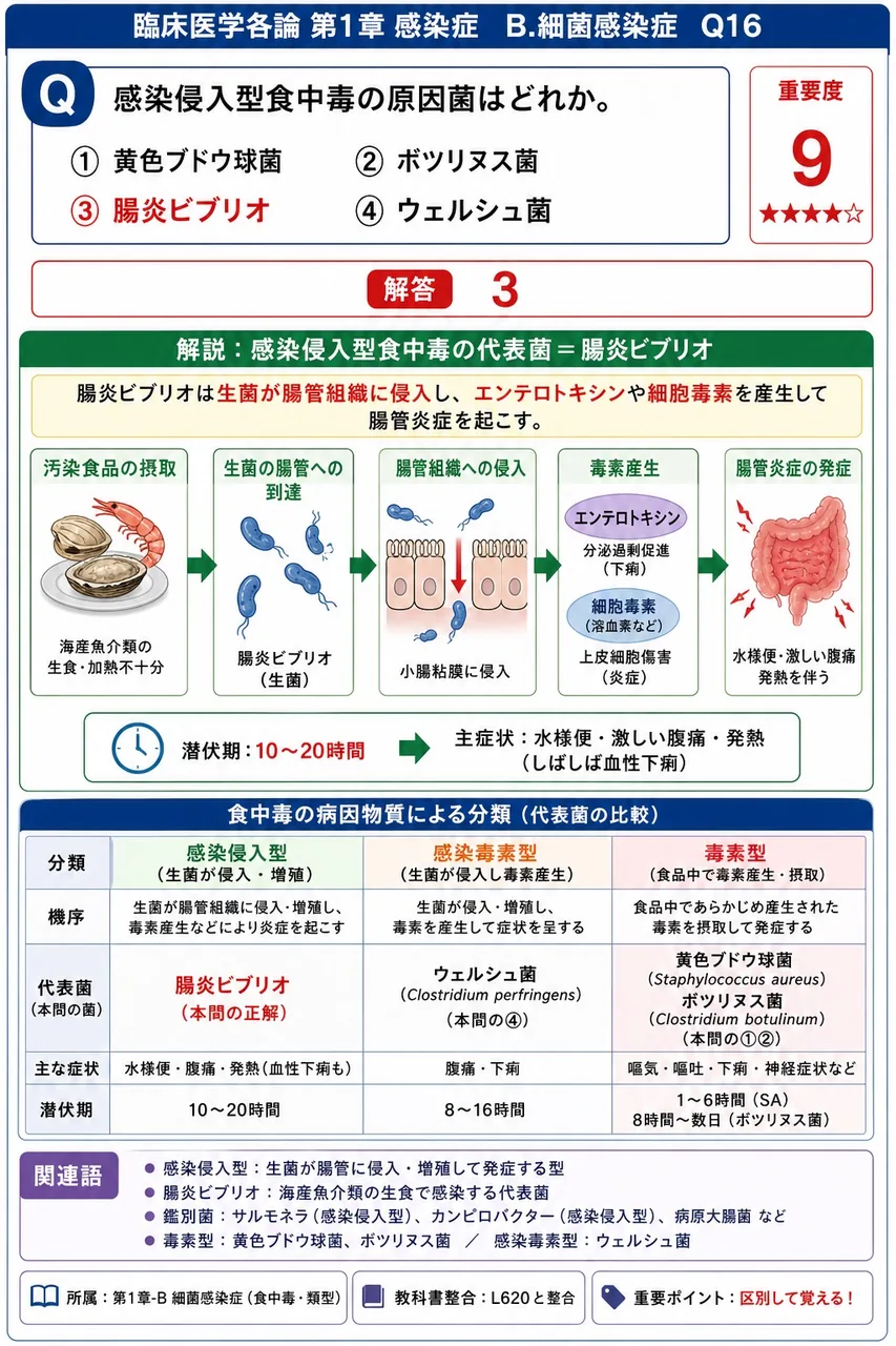感染侵入型食中毒の原因菌はどれか。 解説図
