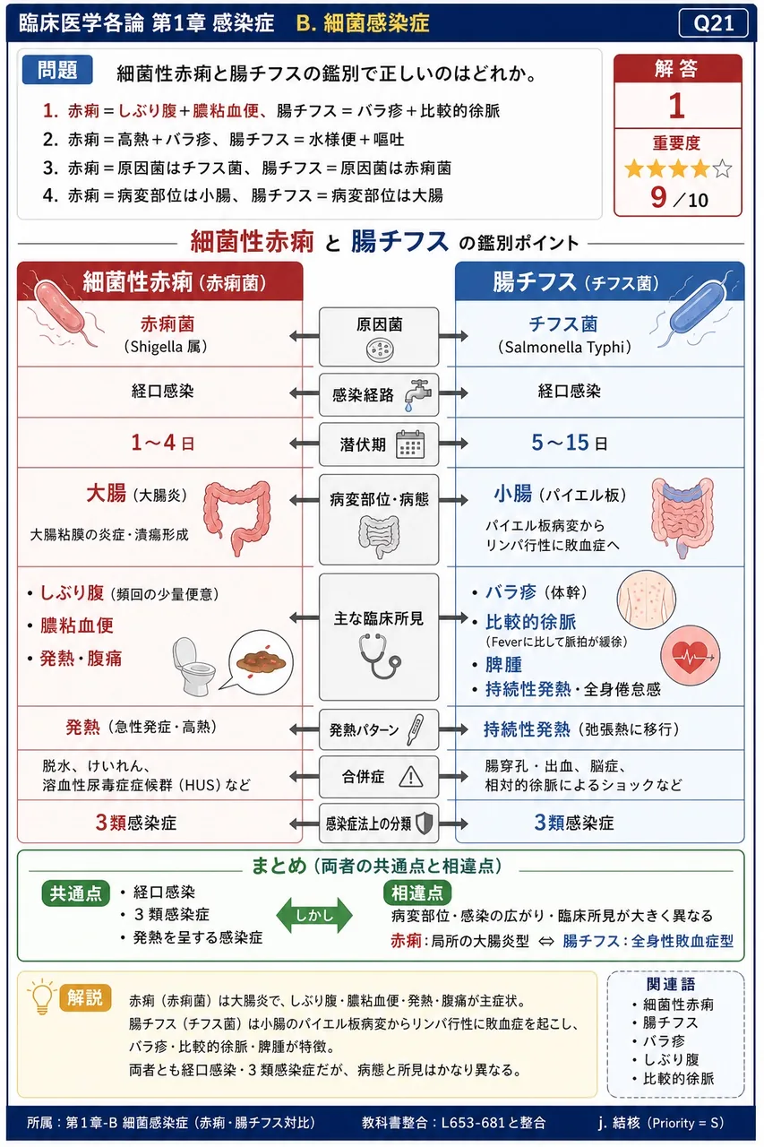 細菌性赤痢と腸チフスの鑑別で正しいのはどれか。 解説図