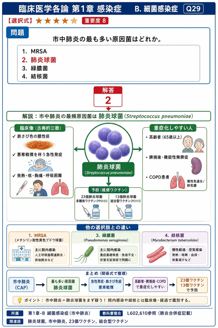 市中肺炎の最も多い原因菌はどれか。 解説図